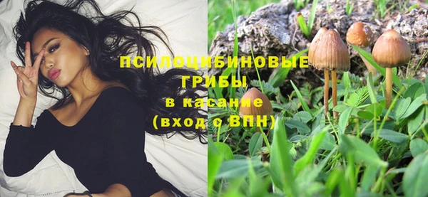 хмурый Переславль-Залесский