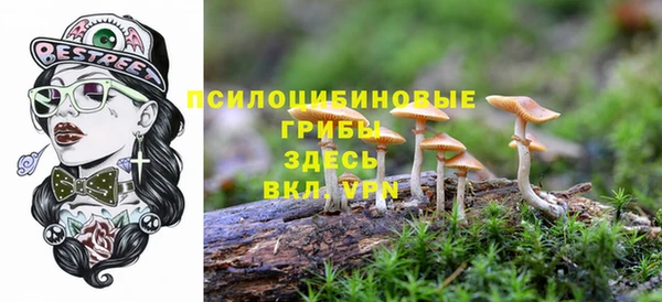 spice Покровск