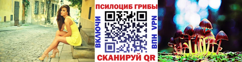 Псилоцибиновые грибы Psilocybe  где можно купить   Суоярви 